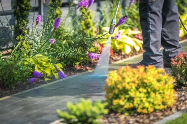 Best Restaurant Pressure Washing  in Harrisburg, NC