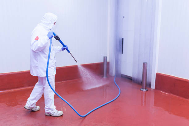 Professional Pressure Washing Services in Harrisburg, NC